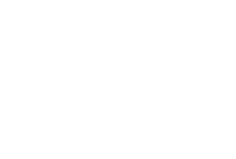 홀덤